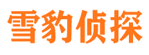 平远寻人公司